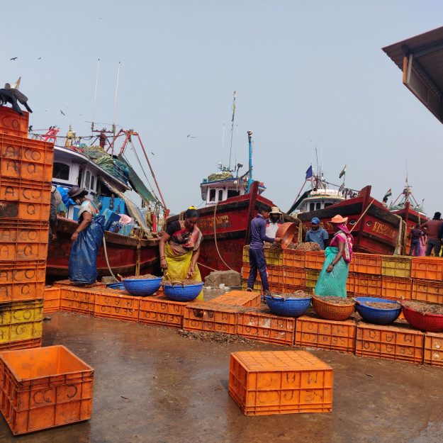 Photo-4-fish-workers-unloading-and-sorting-trawl-bycatch-headed-to-fishmeal-plants-_Mglr_AS-2