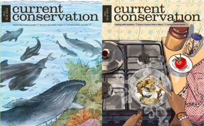 magazines and newsletters (1)