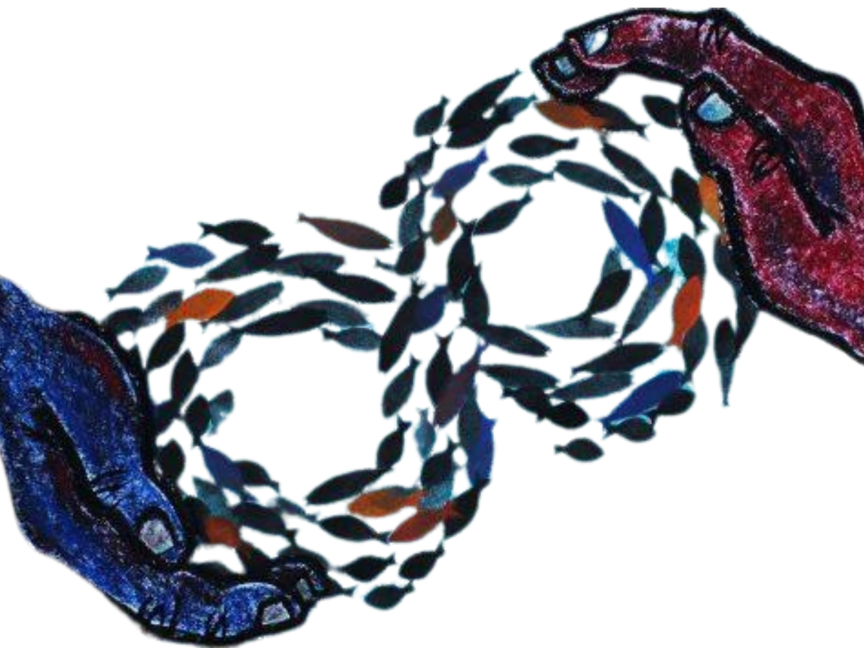 Out of the Blue_Feature article_Banners (22)