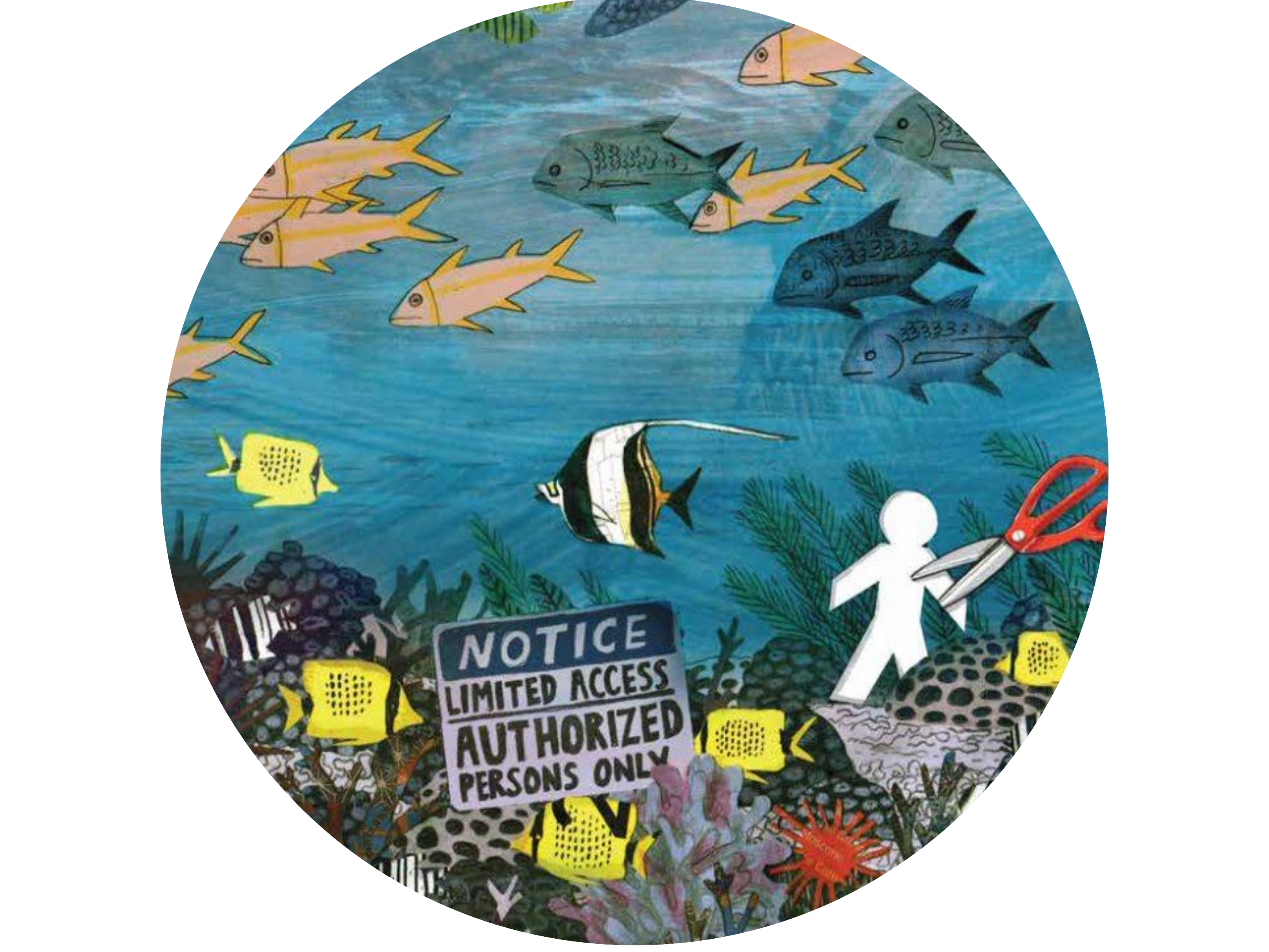 Out of the Blue_Feature article_Banners (24)