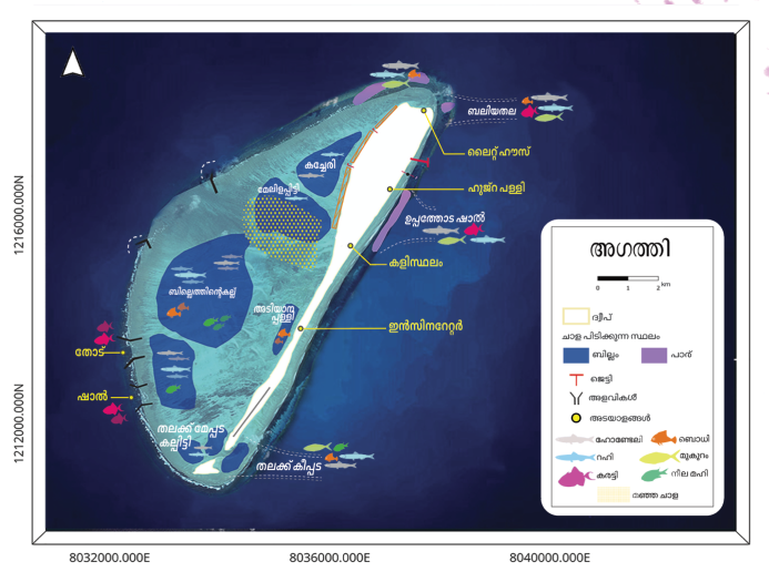 Beach and lagoon cleanup
