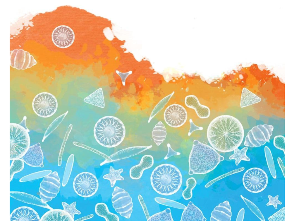 Illustration credits: Megha Vishwanath and Current Conservation